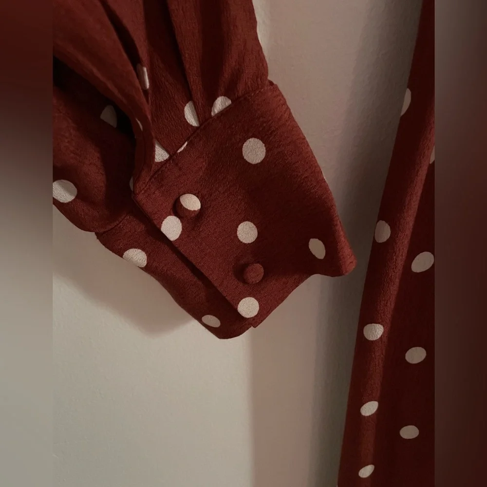 NWOT: Uterqüe Brown Midi-Dress with Polkadots - Picture 3 of 12